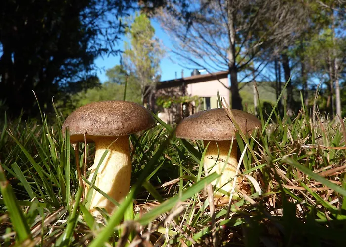 Trinidadtraslasierra- Casamora
